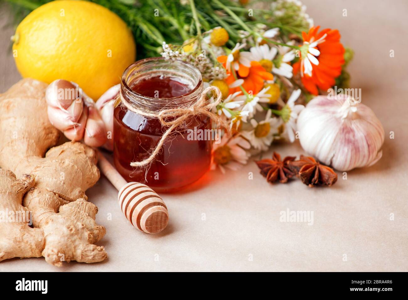 Récolte des herbes, ail de fleur, citron, racine de gingembre, miel dans le pot - concept de saison hiver automne jours, boisson pour la grippe froide treament, alter Banque D'Images