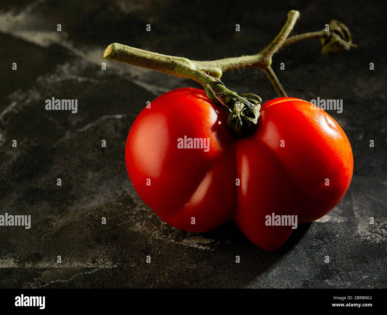 Mauvais fruits ou légumes. Tomate mutante gravement malformée. Les magasins de nourriture préfèrent surtout les fruits et légumes de la meilleure qualité. Les fruits laids ne sont pas en haut d Banque D'Images