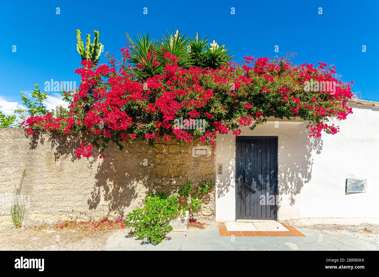 Gaeta, Italie. Porte d'entrée d'une maison le long du chemin menant au mont Orlando. Énorme bougainvillea floraison. Banque D'Images