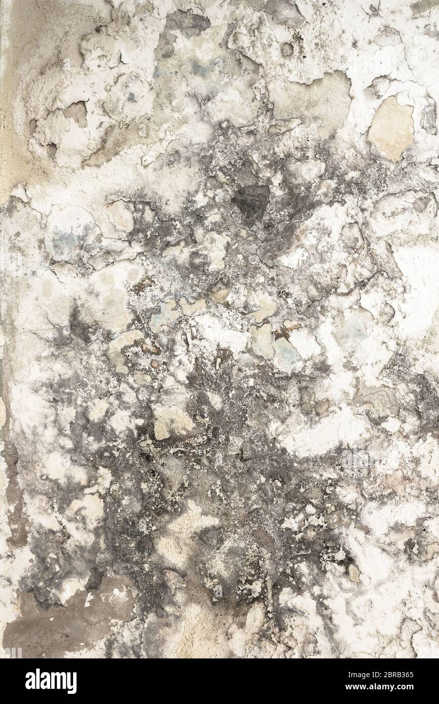 Effets de l'humidité sur le plâtre, la texture du mur endommagé. Banque D'Images
