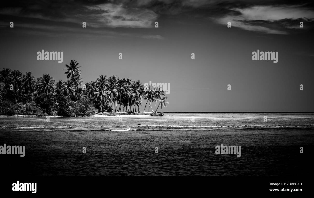 Scène de plage en noir et blanc parfaite. Coucher de soleil, silhouette de palmier à noix de coco avec chaises longues et parasol. Abstrait, artistique humeur d'été Banque D'Images