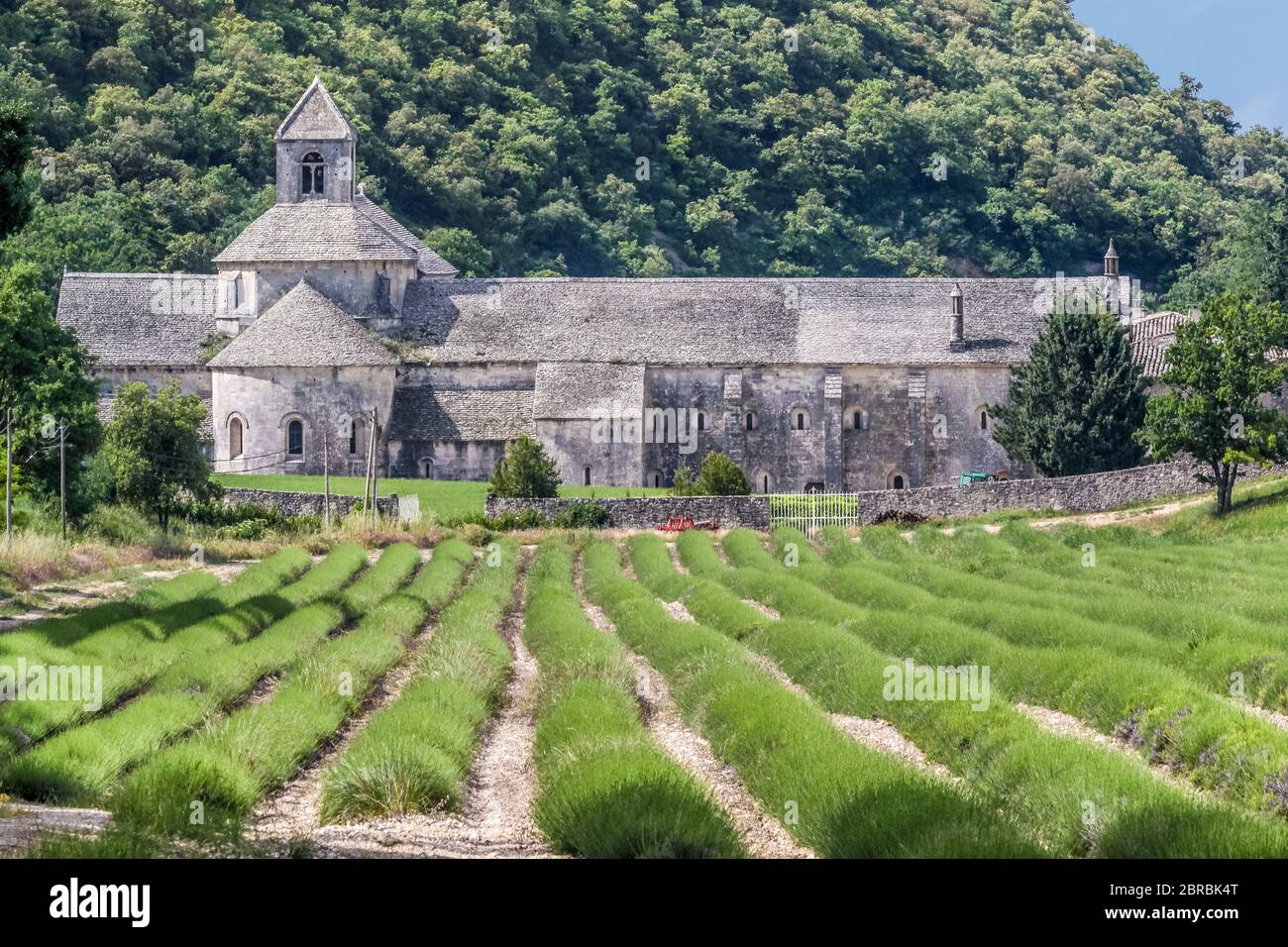 Abbaye de Sénanque dans le Luberon, Provence, France Banque D'Images