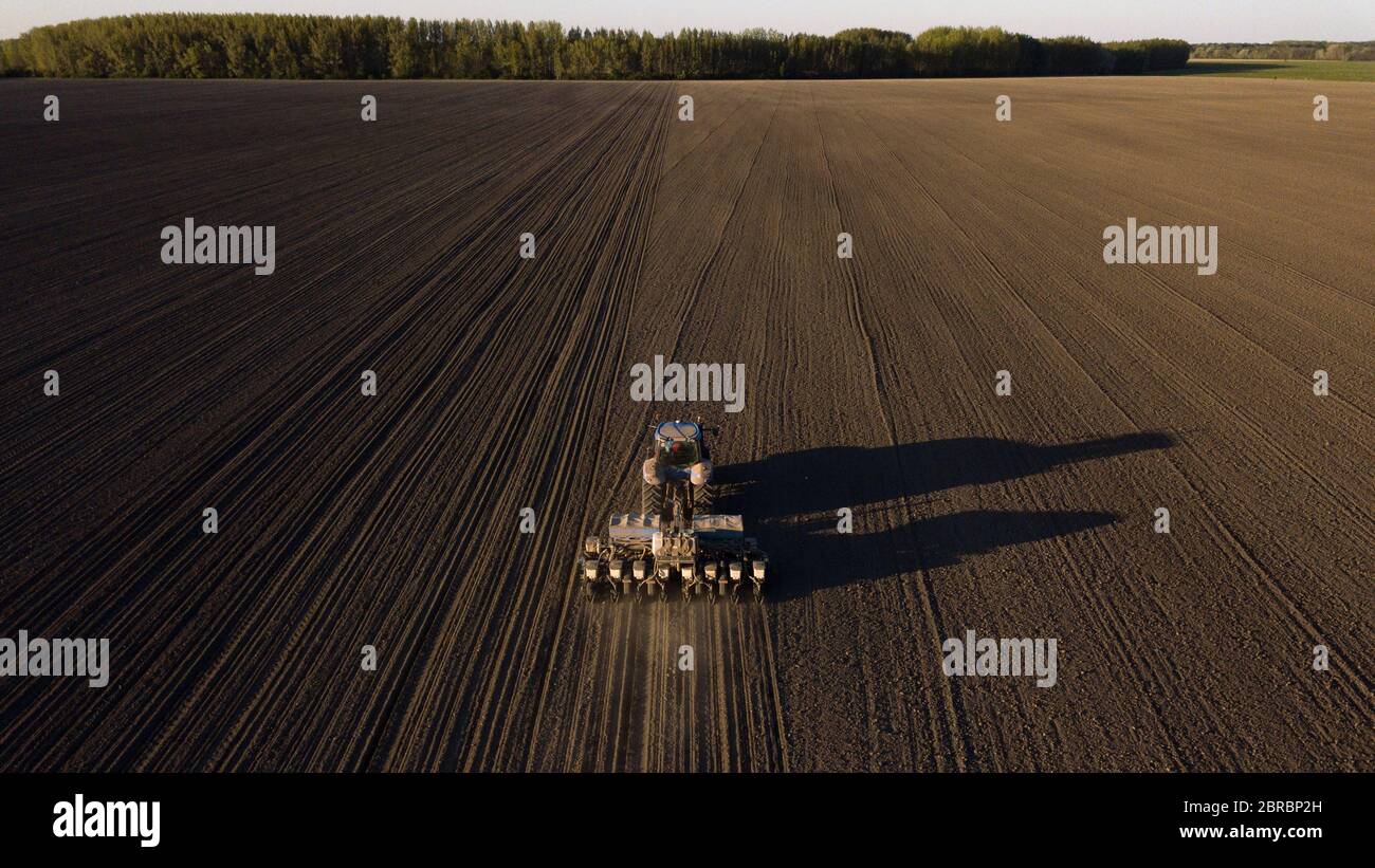 Le tracteur plère, cultive le sol au coucher du soleil. Tir de drone par le dessus. Banque D'Images