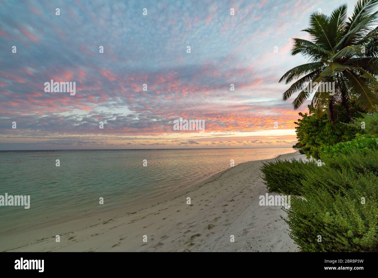 Paysage de coucher de soleil, feuillage de nature tropicale avec ciel de coucher de soleil. Vue sur la mer tranquille avec espace pour le texte, couleurs pastel Banque D'Images
