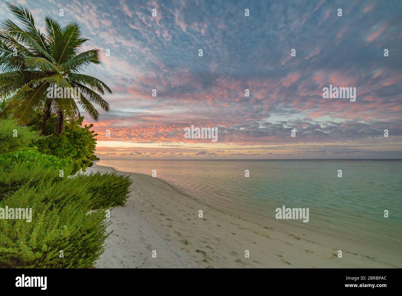 Paysage de coucher de soleil, feuillage de nature tropicale avec ciel de coucher de soleil. Vue sur la mer tranquille avec espace pour le texte, couleurs pastel Banque D'Images
