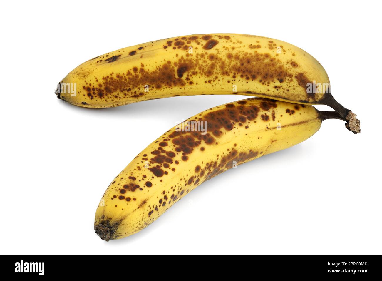 deux bananes marron à pois, trop mûres sur fond blanc Banque D'Images
