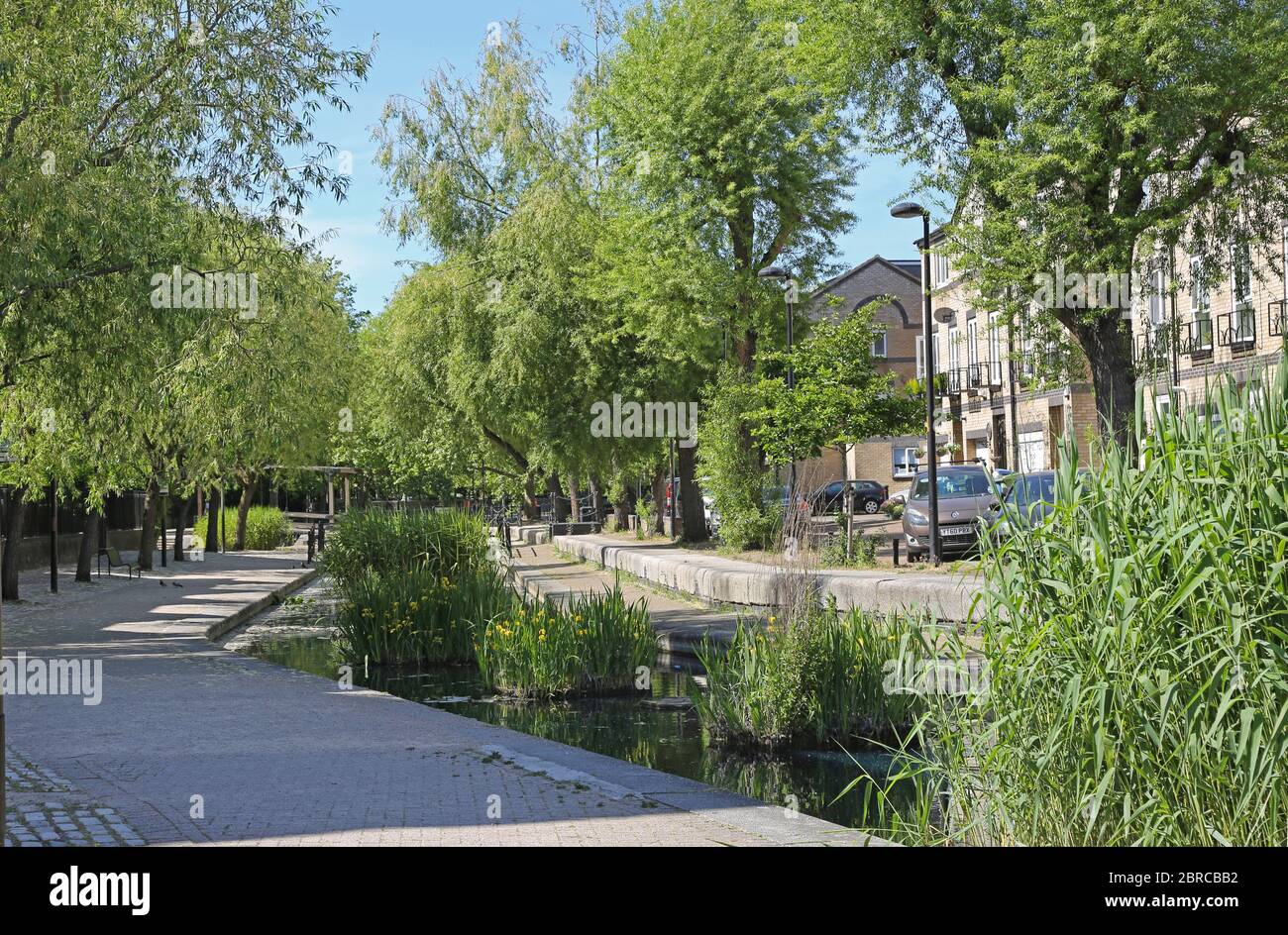 Logement construit le long d'un nouveau canal à Canada Water, Londres. Un nouveau secteur résidentiel s'est développé dans les années 1980 sur le site des anciens Surrey Docks. Banque D'Images