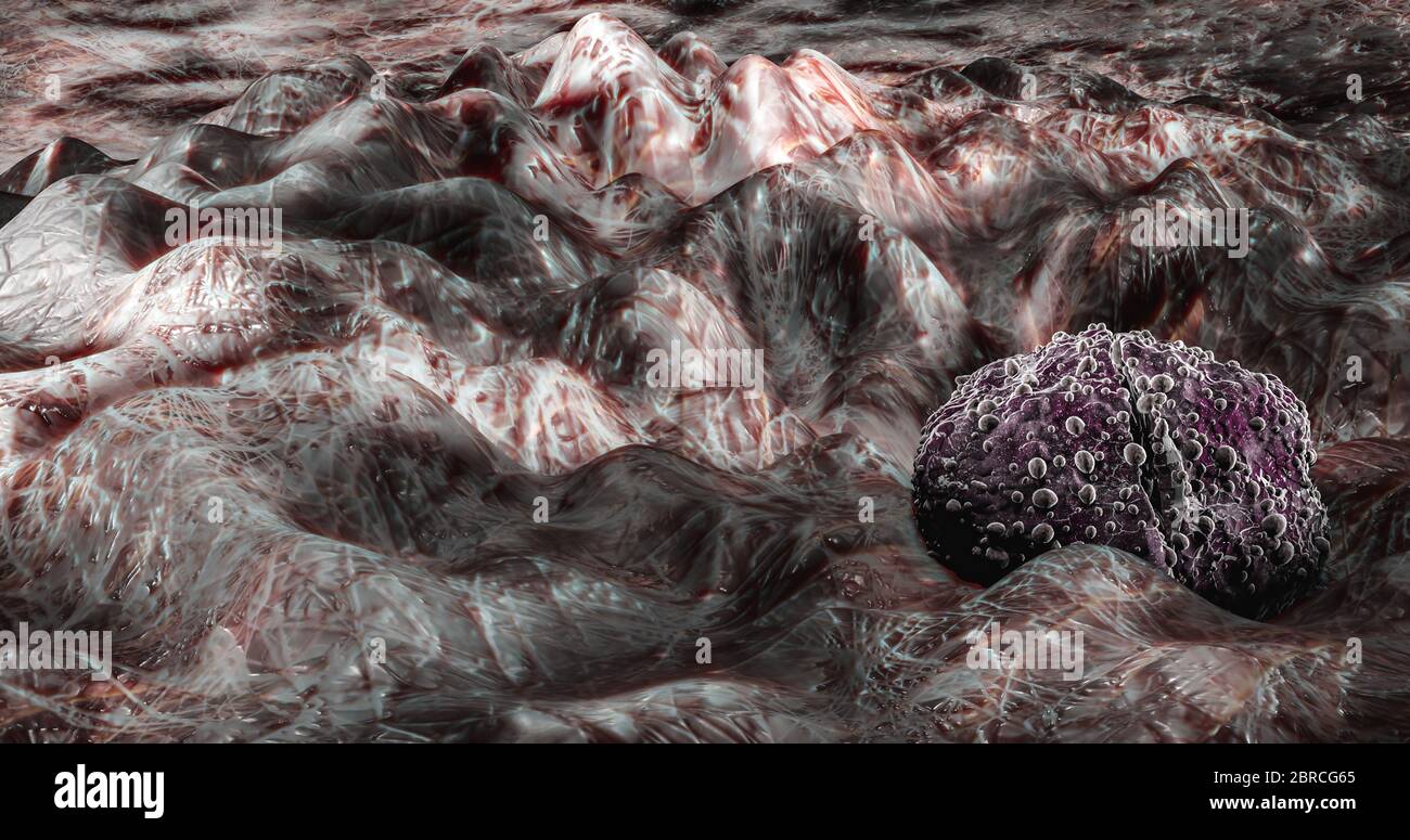 Science photo de bactéries UN diplococcus est une bactérie ronde qui se produit généralement sous la forme de deux cellules jointes Banque D'Images