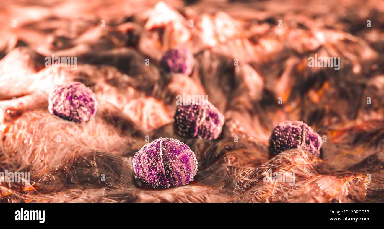 Science photo de bactéries UN diplococcus est une bactérie ronde qui se produit généralement sous la forme de deux cellules jointes Banque D'Images