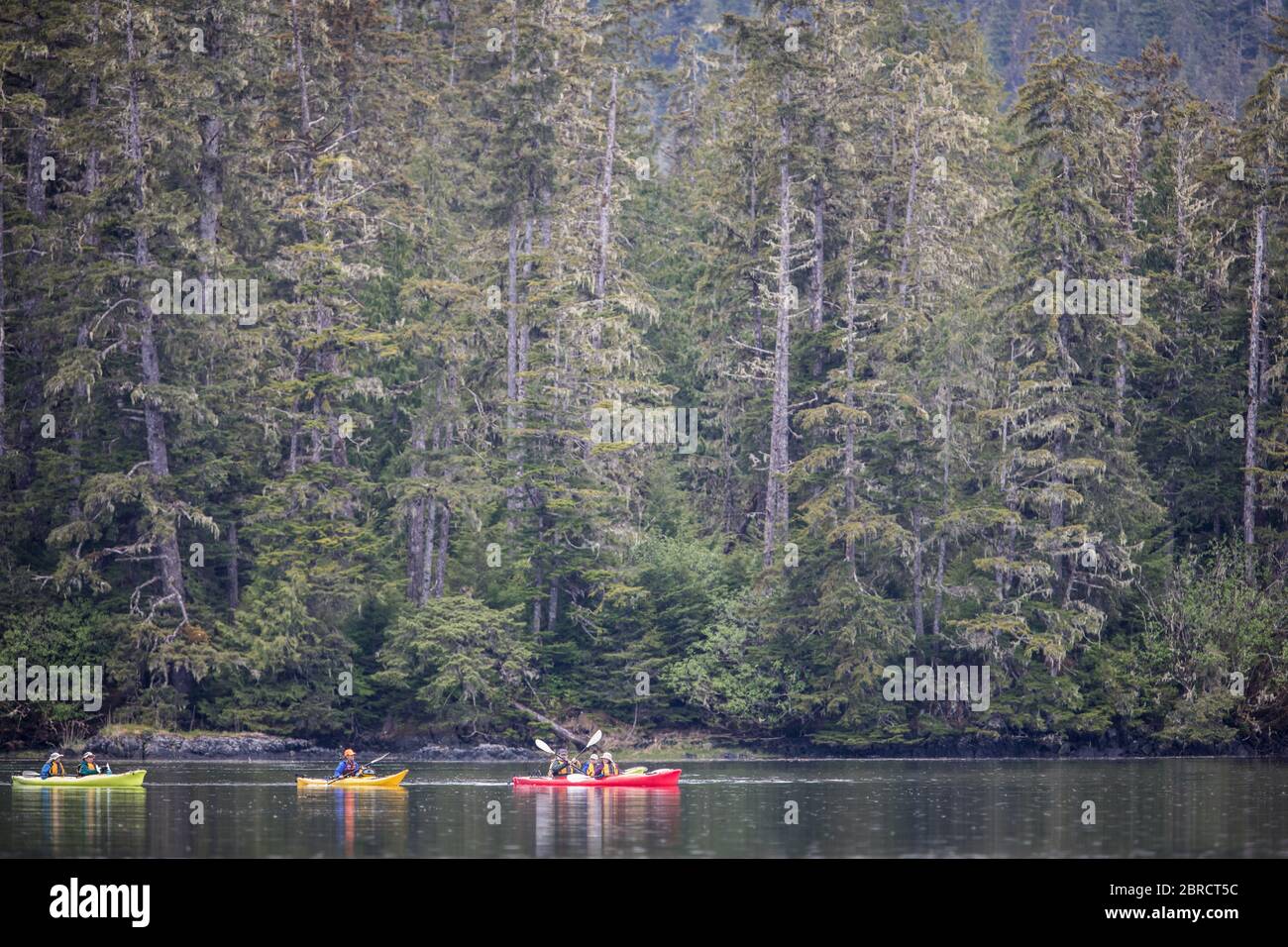 La faune et le paysage du sud-est de l'Alaska dans les îles Blashke attire les aventuriers du kayak lors d'une croisière en petit bateau. Banque D'Images