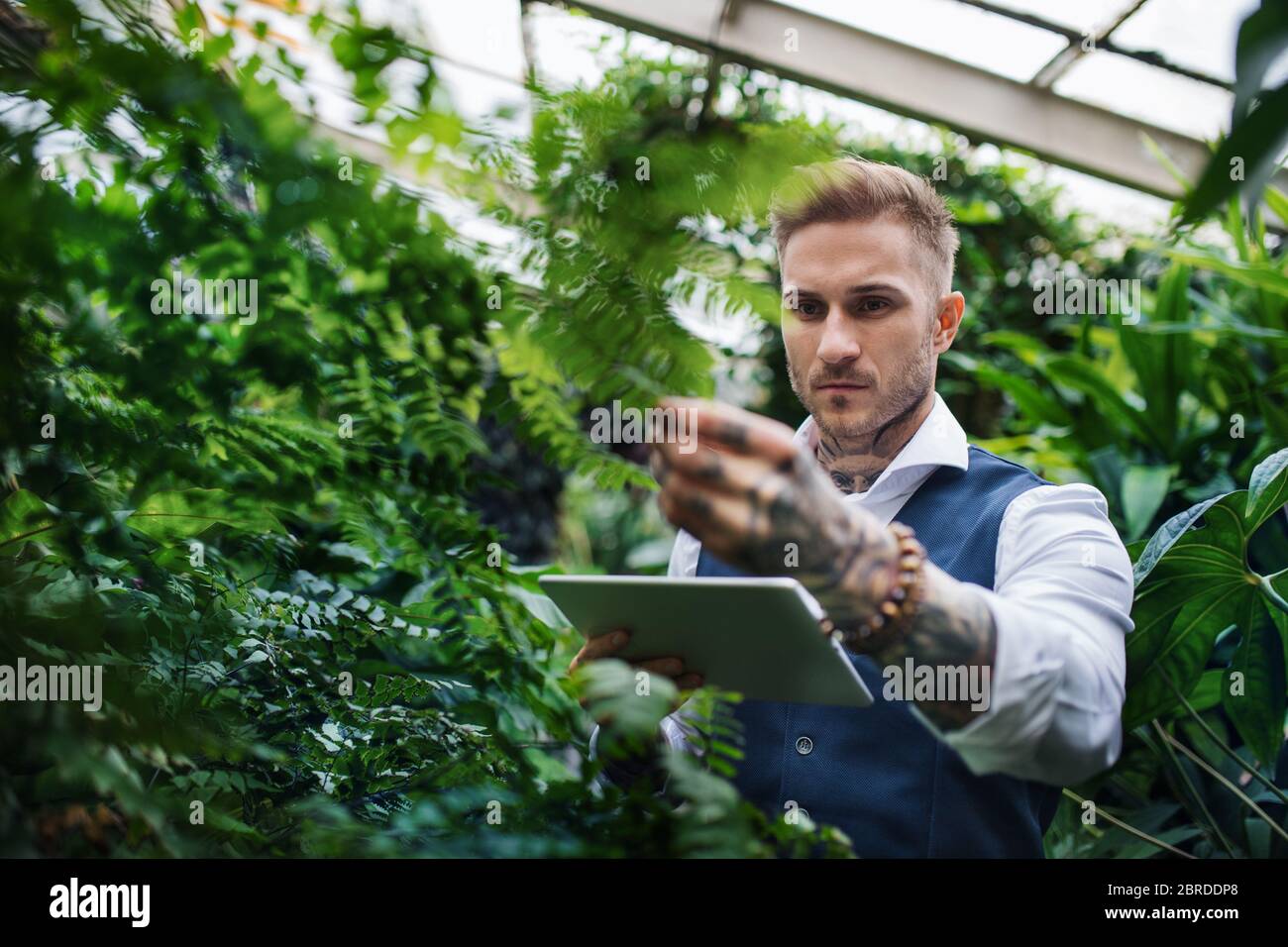 Jeune homme avec une tablette dans le jardin botanique. Banque D'Images