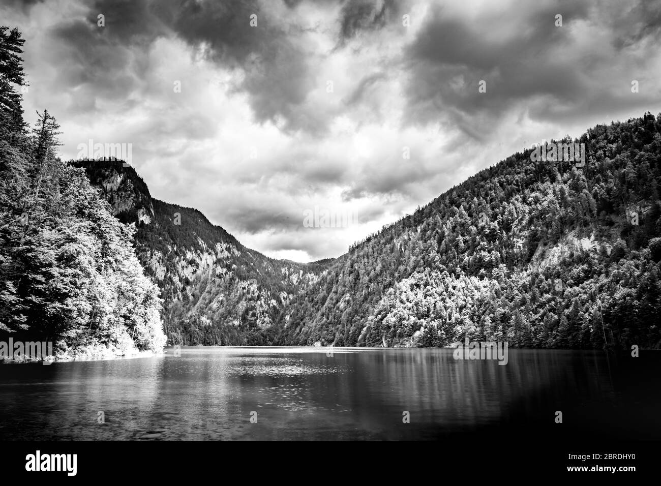 Composition hivernale en noir et blanc en haute montagne Banque D'Images