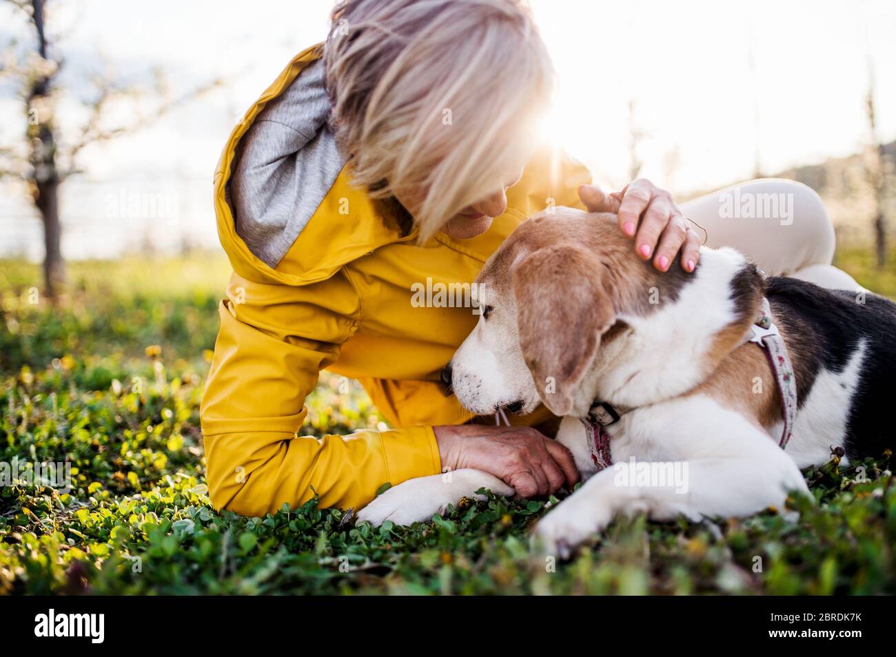 Vue de face d'une femme âgée allongé sur l'herbe au printemps, chien d'animal de compagnie. Banque D'Images