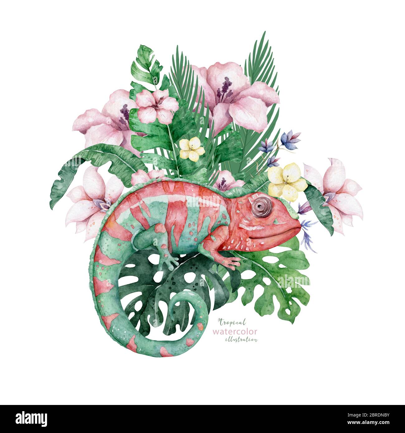 Caméléon Lizard avec fleurs tropicales dessin main aquarelle illustration isolée sur fond blanc Banque D'Images