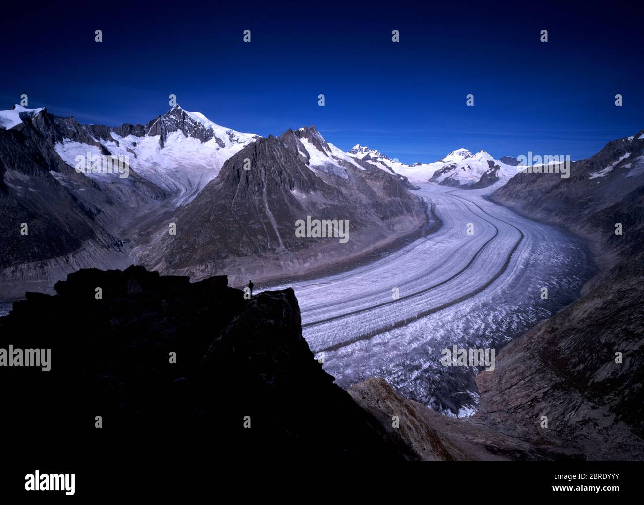 Le glacier de l'Aletschglake, le plus grand glacier des Alpes européennes, vu depuis le sommet de l'Eggishorn en Valais suisse. Crédit: Malcolm Park/Alay. Banque D'Images
