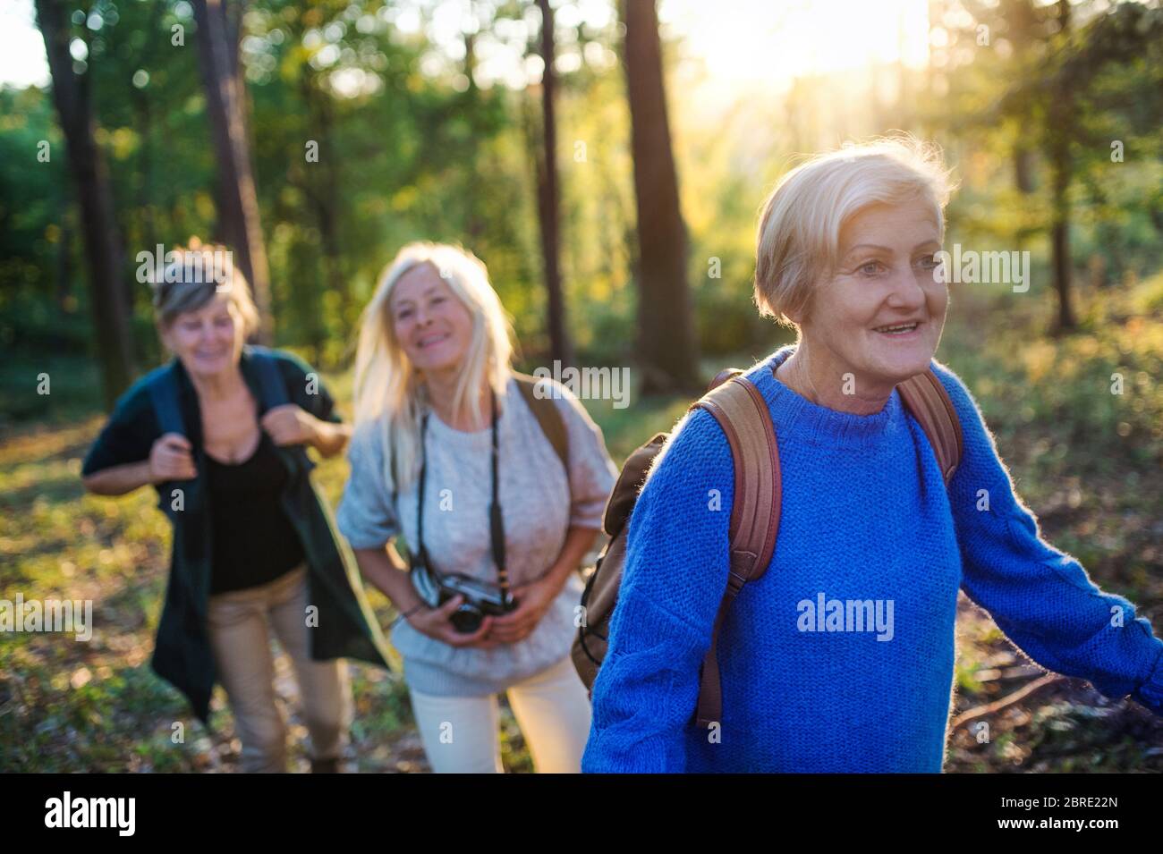 Des femmes âgées se sont amies avec un appareil photo qui marche à l'extérieur en forêt. Banque D'Images