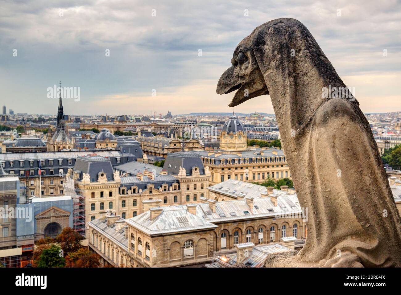 Chimère (gargoyle) de la Cathédrale Notre Dame de Paris surplombant Paris, France Banque D'Images