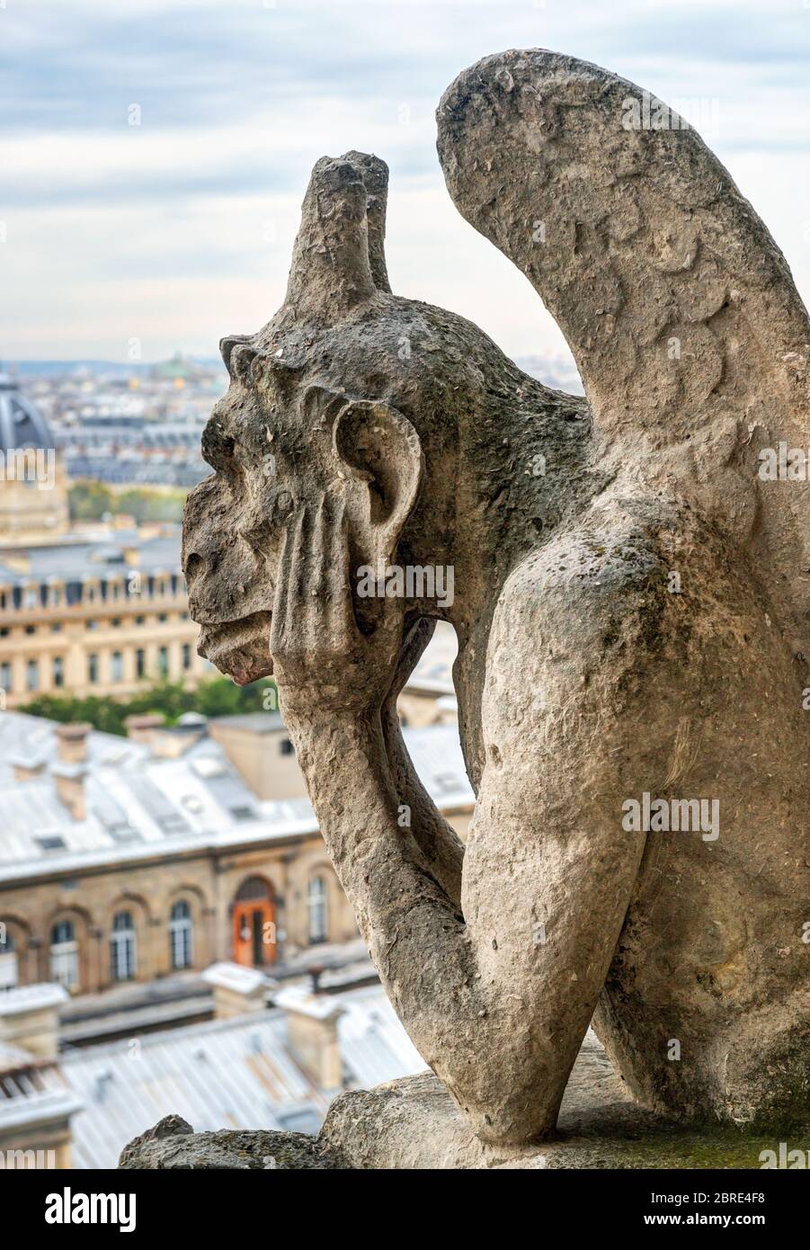 Chimère (gargoyle) de la Cathédrale Notre Dame de Paris surplombant Paris, France Banque D'Images