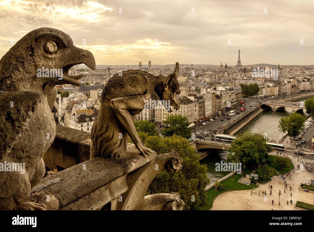 Chimère (gargouille) sur la Cathédrale notre Dame de Paris, surplombant Paris, France Banque D'Images
