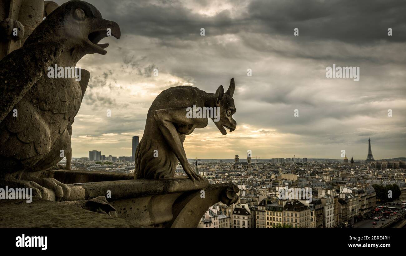 les gargouilles de notre dame