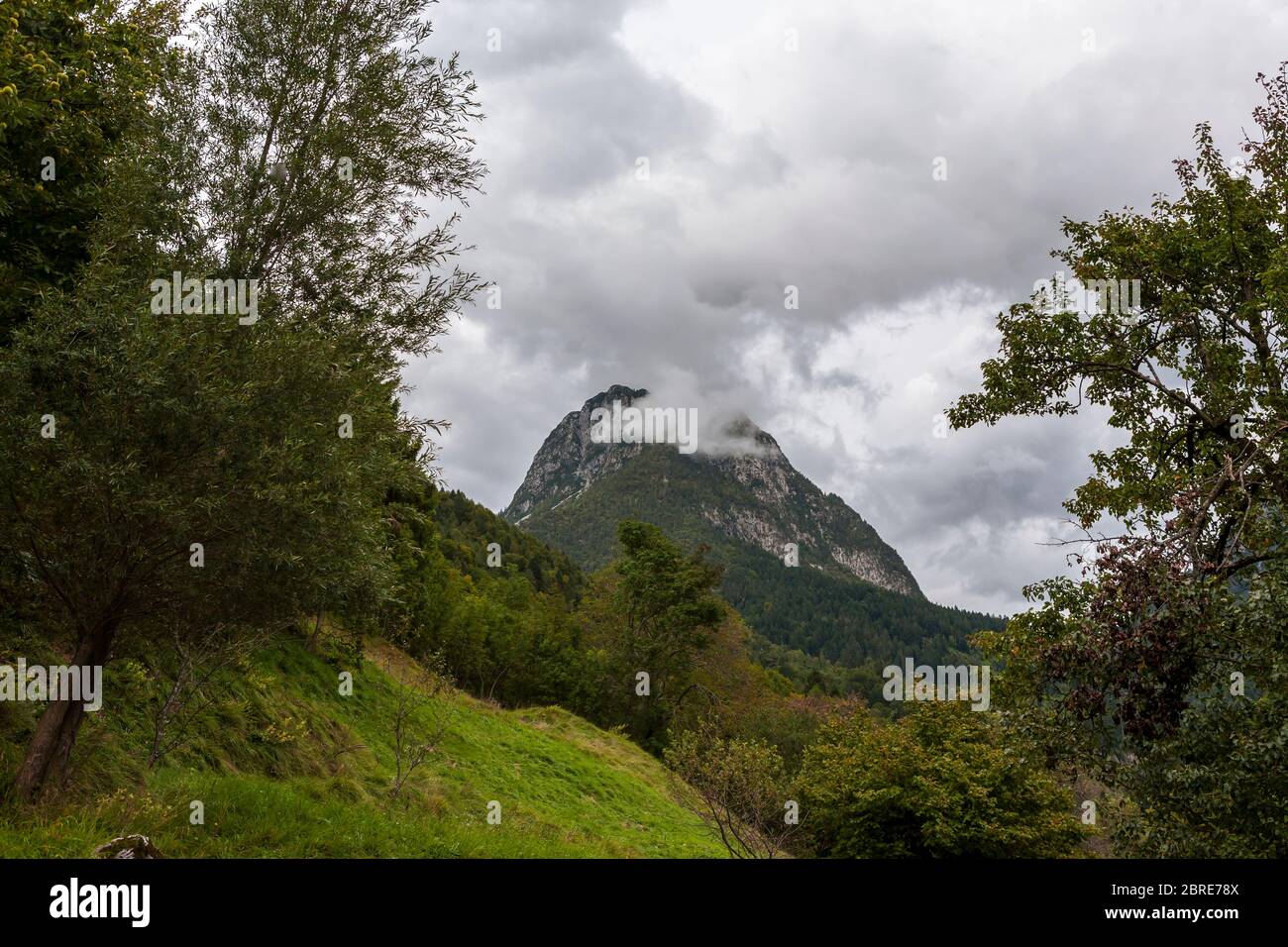 Creta dal Cronz, du village de montagne de SAPS, Alpes carniques, Frioul-Vénétie Giulia, Italie Banque D'Images