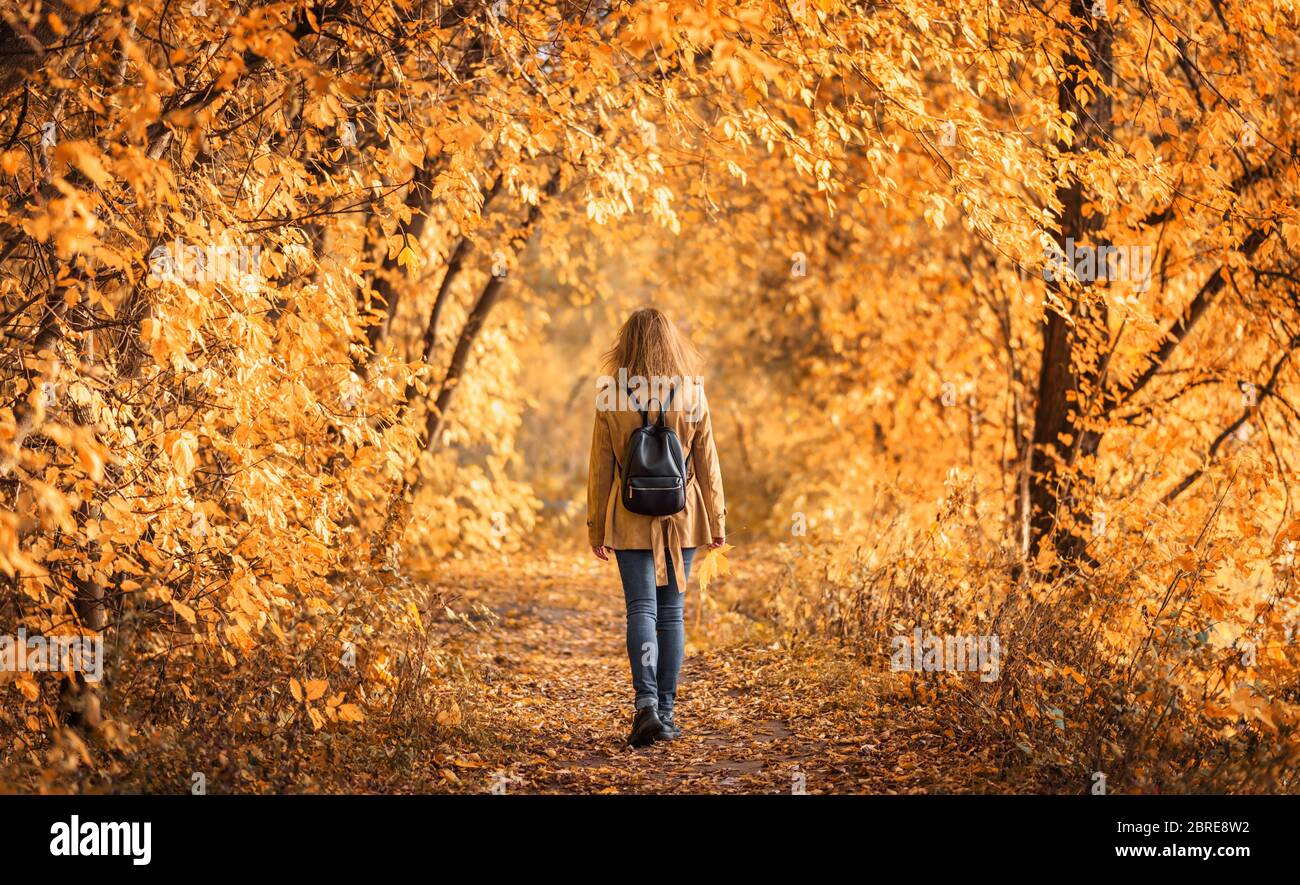 Femme dans le parc d'automne, vue arrière. Une fille adulte s'en balade seule sur un sentier dans la forêt d'automne. Jeune femme solitaire avec sac à dos en veste d'automne. Magnifique Banque D'Images