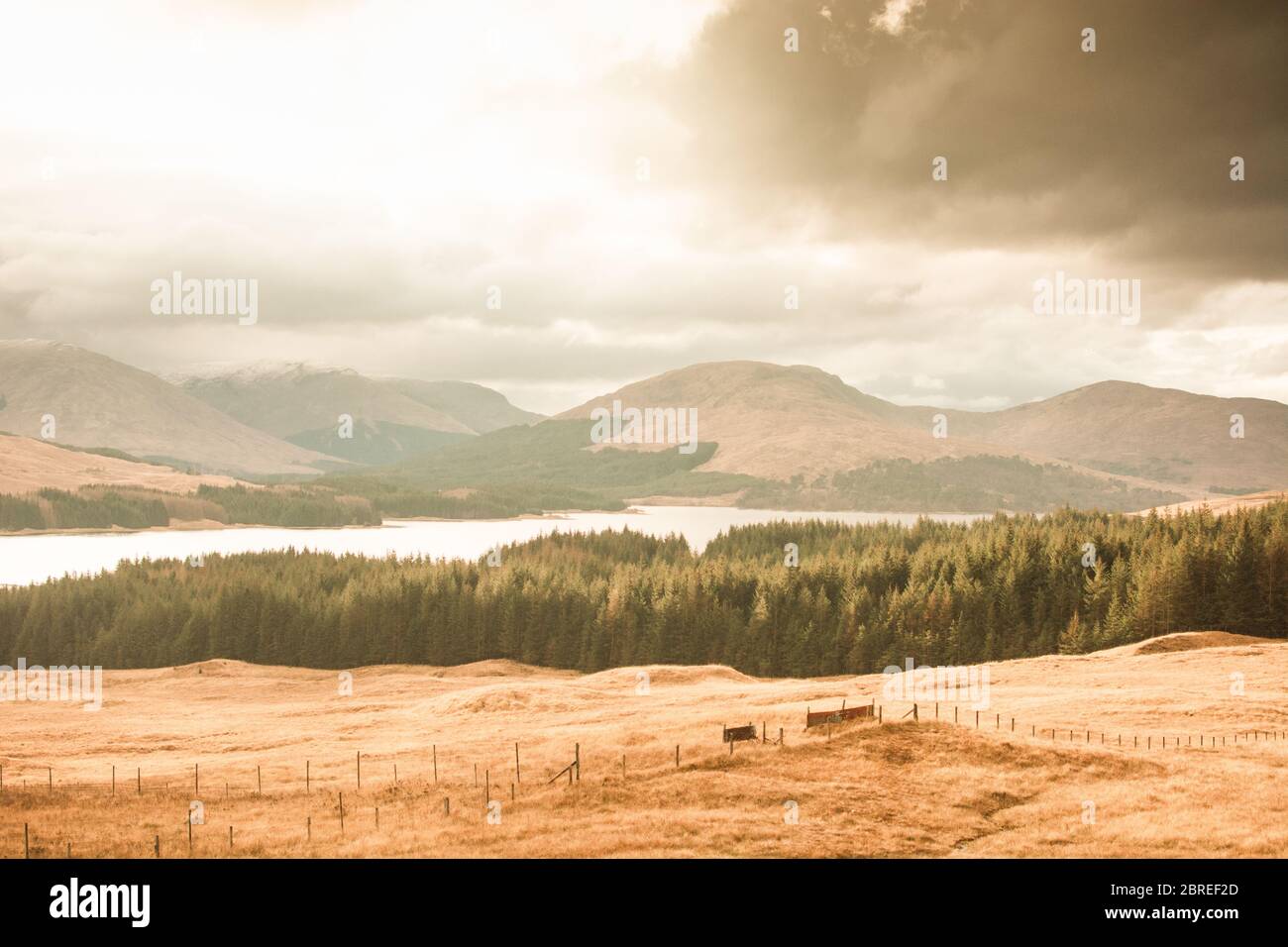 Point de vue sur l'île de Skye en regardant au loin, où une forêt, un lac, des prairies et des collines de vie. Banque D'Images