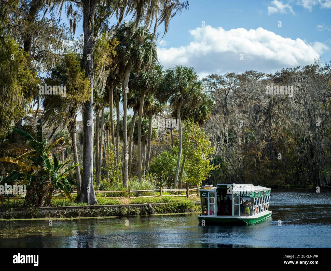 Parc national de Silver Spring, Ocala, Floride Banque D'Images