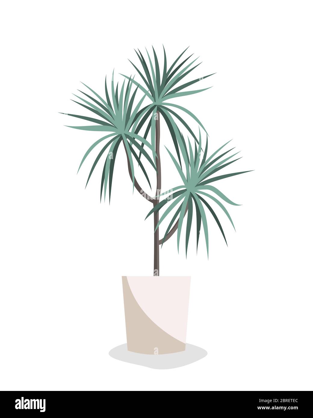 Illustration plate vectorielle Dracaena. Plante de maison dans le pot isolé sur blanc. Élément de conception intérieure. Illustration de Vecteur