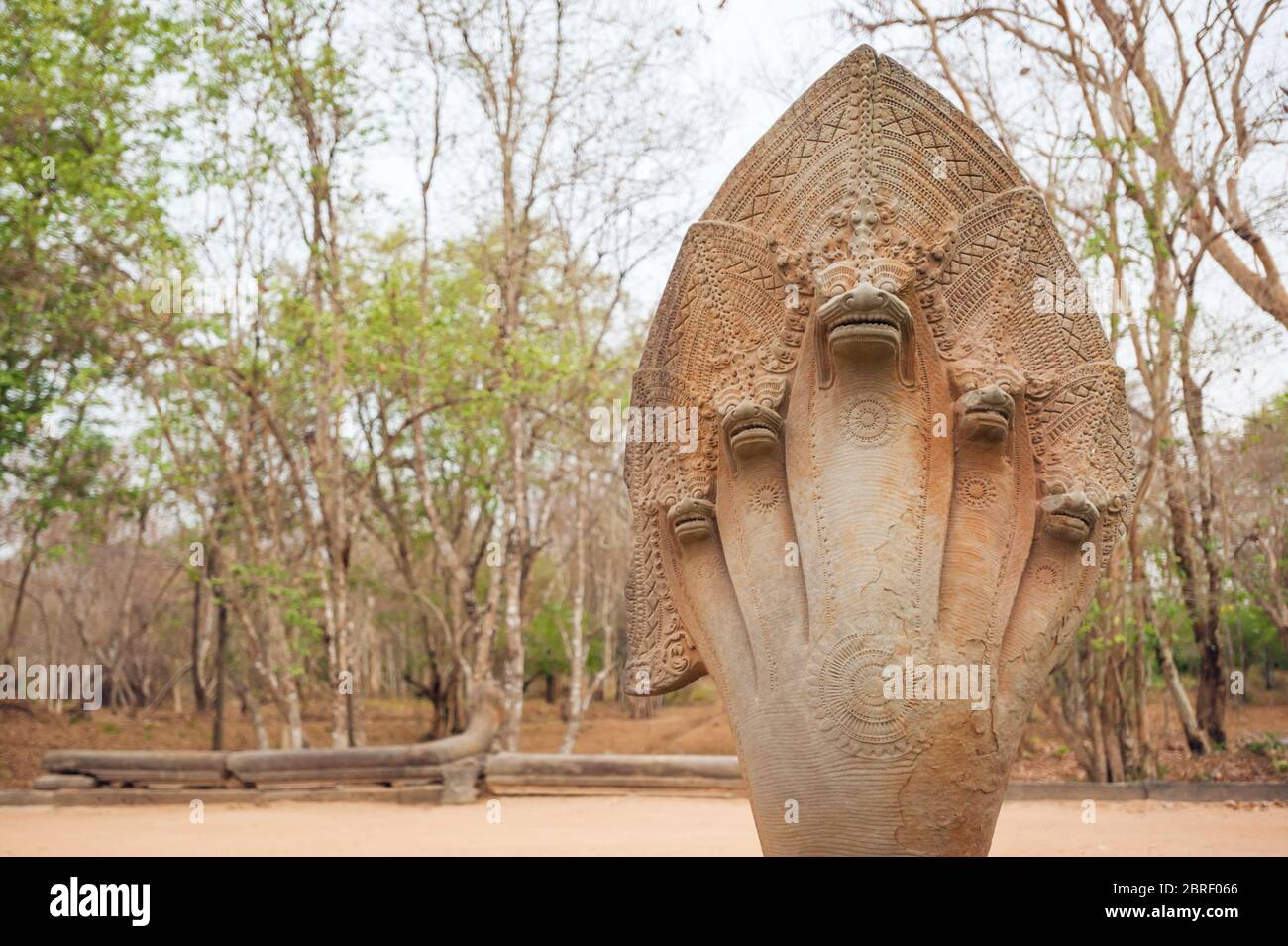 Serpent à cinq têtes à Beng Mealea. Angkor, site du patrimoine mondial de l'UNESCO, province de Siem Reap, Cambodge, Asie du Sud-est Banque D'Images