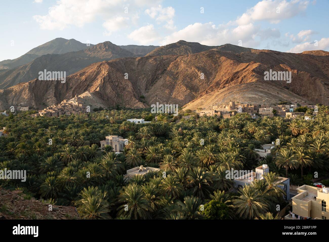 Vue sur les ruines de Birkat al Mawz, Oman, en face de la montagne, palmiers dattiers devant Banque D'Images