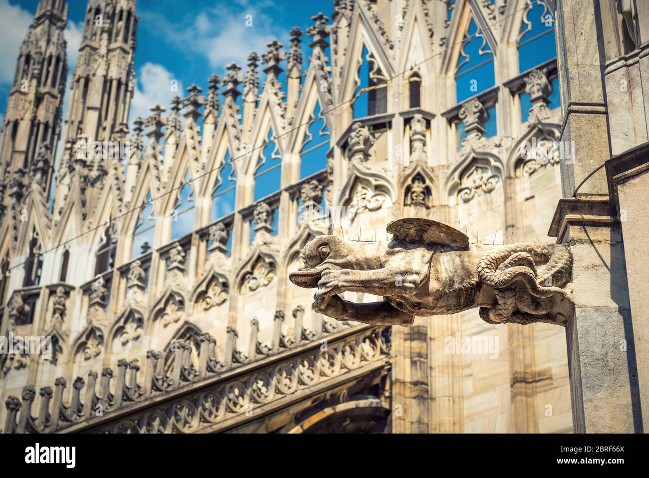 Gargoyle est sur le toit de la cathédrale de Milan (Duomo di Milano) à Milan, Italie. Le Duomo de Milan est la plus grande église d'Italie et la cinquième plus grande de Banque D'Images