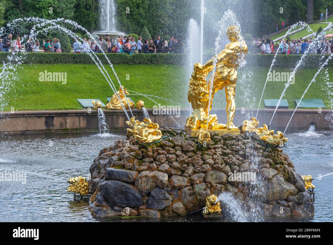 Peterhof, la fontaine 'Samson déchirant la gueule du lion' dans le parc inférieur Banque D'Images