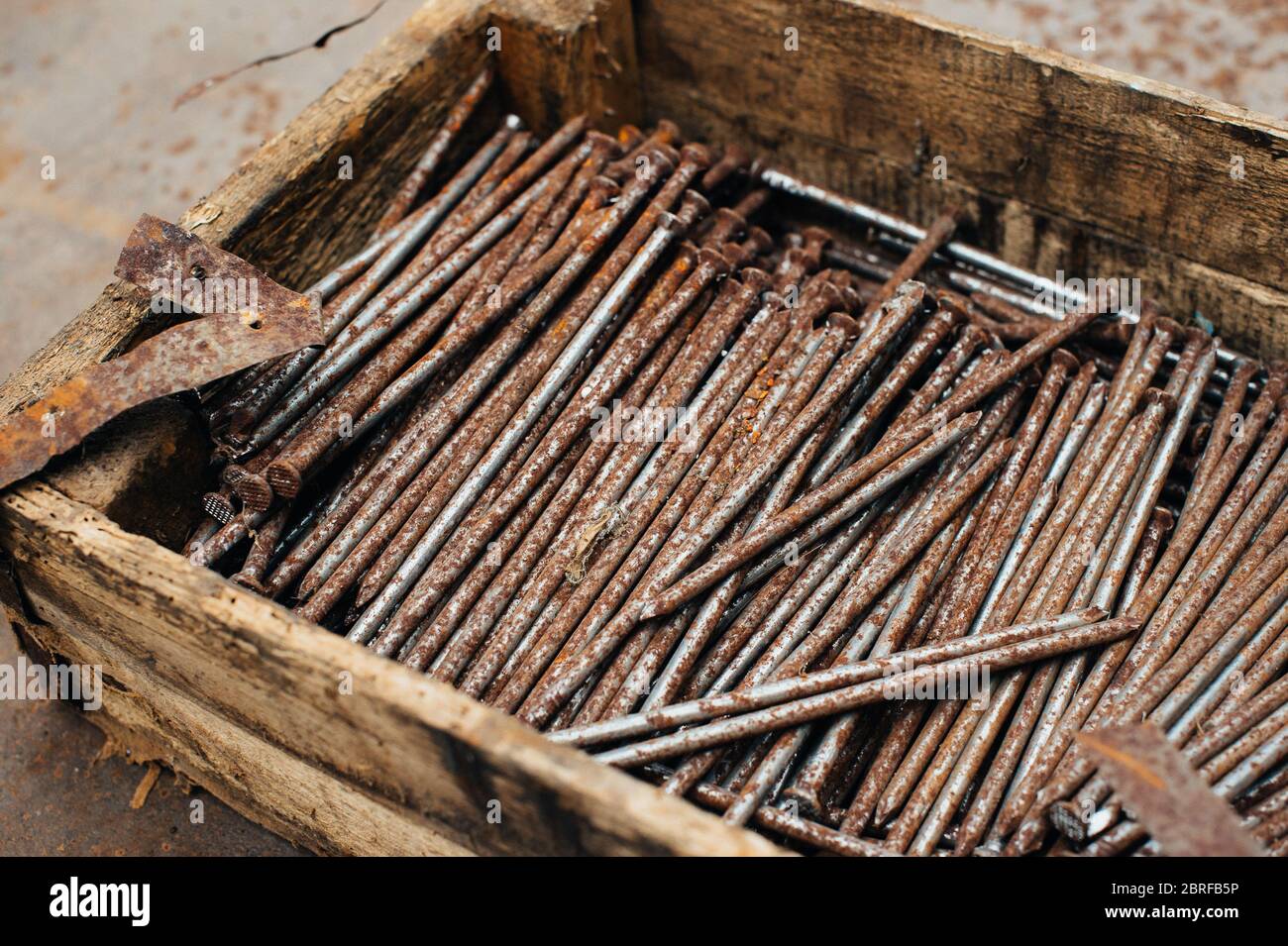 Ferraille. Boîte avec clous rouillés anciens. Gros plan. Macro. Banque D'Images