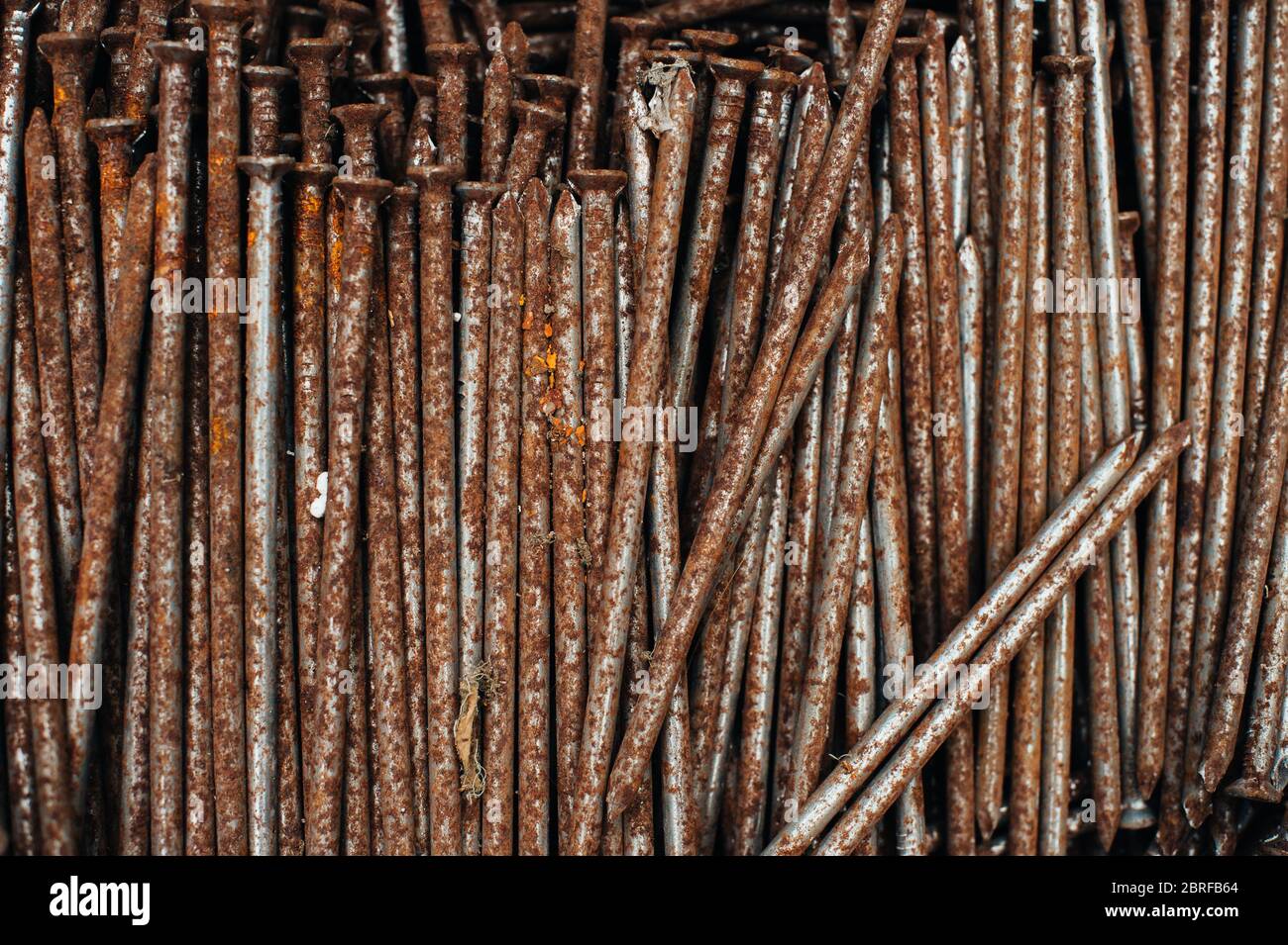 Ferraille. Boîte avec clous rouillés anciens. Gros plan. Macro. Banque D'Images