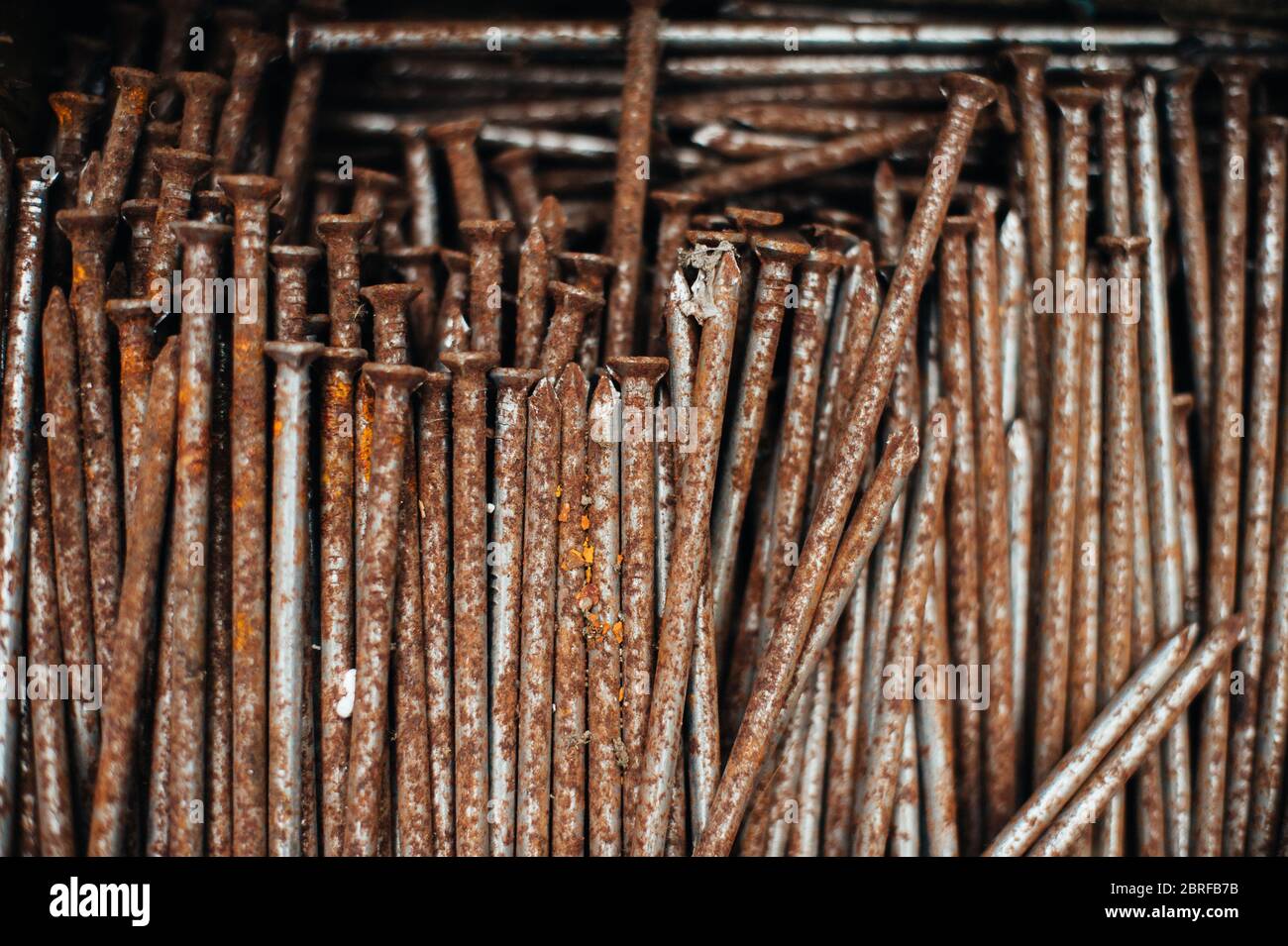 Ferraille. Boîte avec clous rouillés anciens. Gros plan. Macro. Banque D'Images