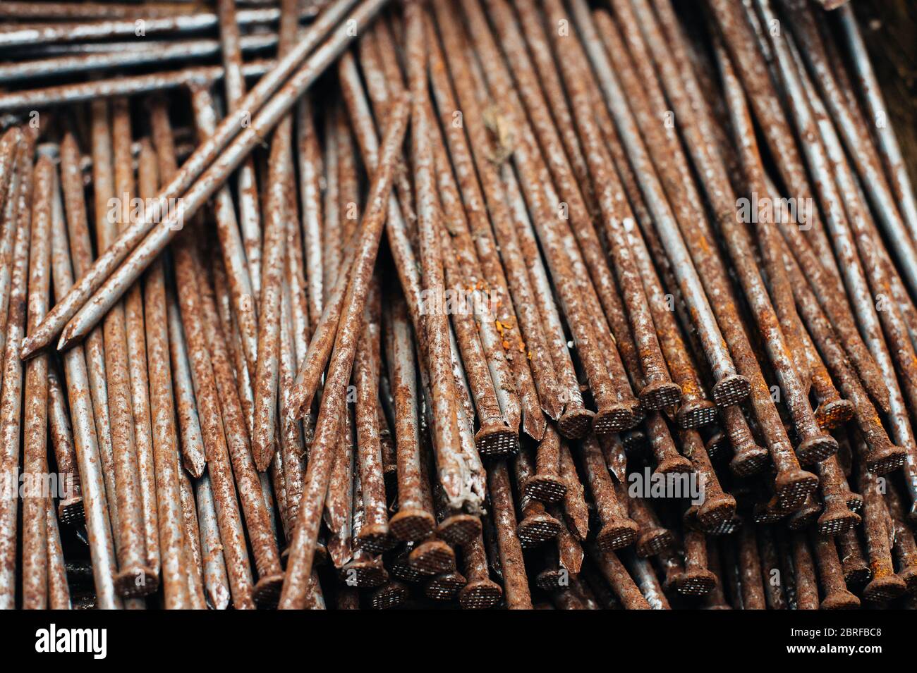 Ferraille. Boîte avec clous rouillés anciens. Gros plan. Macro. Banque D'Images