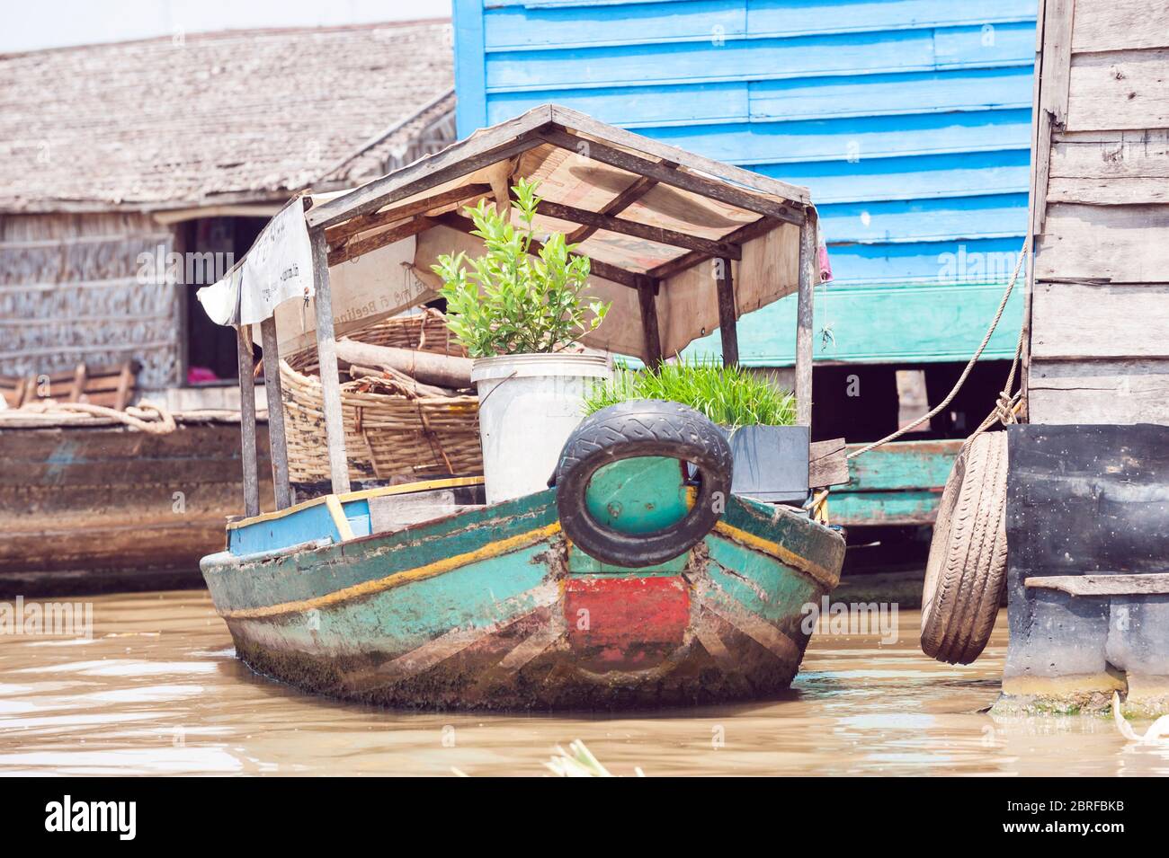 Plante sur un bateau à aubes au village flottant de Kompong Luong. Krakor, Cambodge, Asie du Sud-est Banque D'Images
