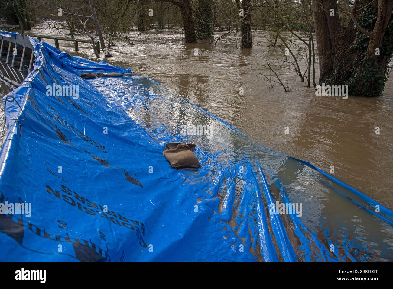 Systèmes de défense contre les inondations et les inondations, Leatherhead, Surrey, Royaume-Uni. Suite à Storm Daniel 16/2/20 Banque D'Images