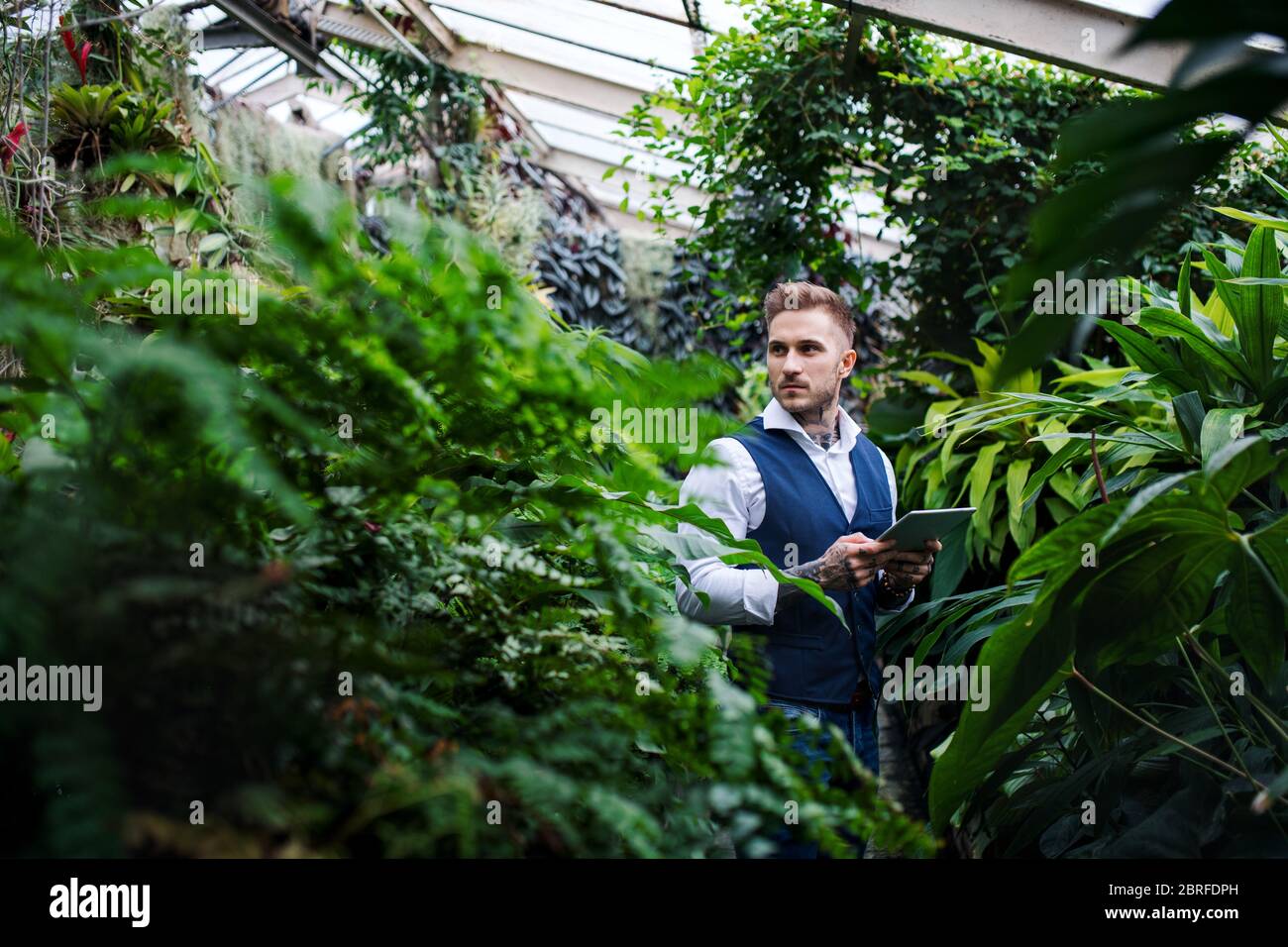 Jeune homme avec une tablette debout dans le jardin botanique, travaillant. Banque D'Images