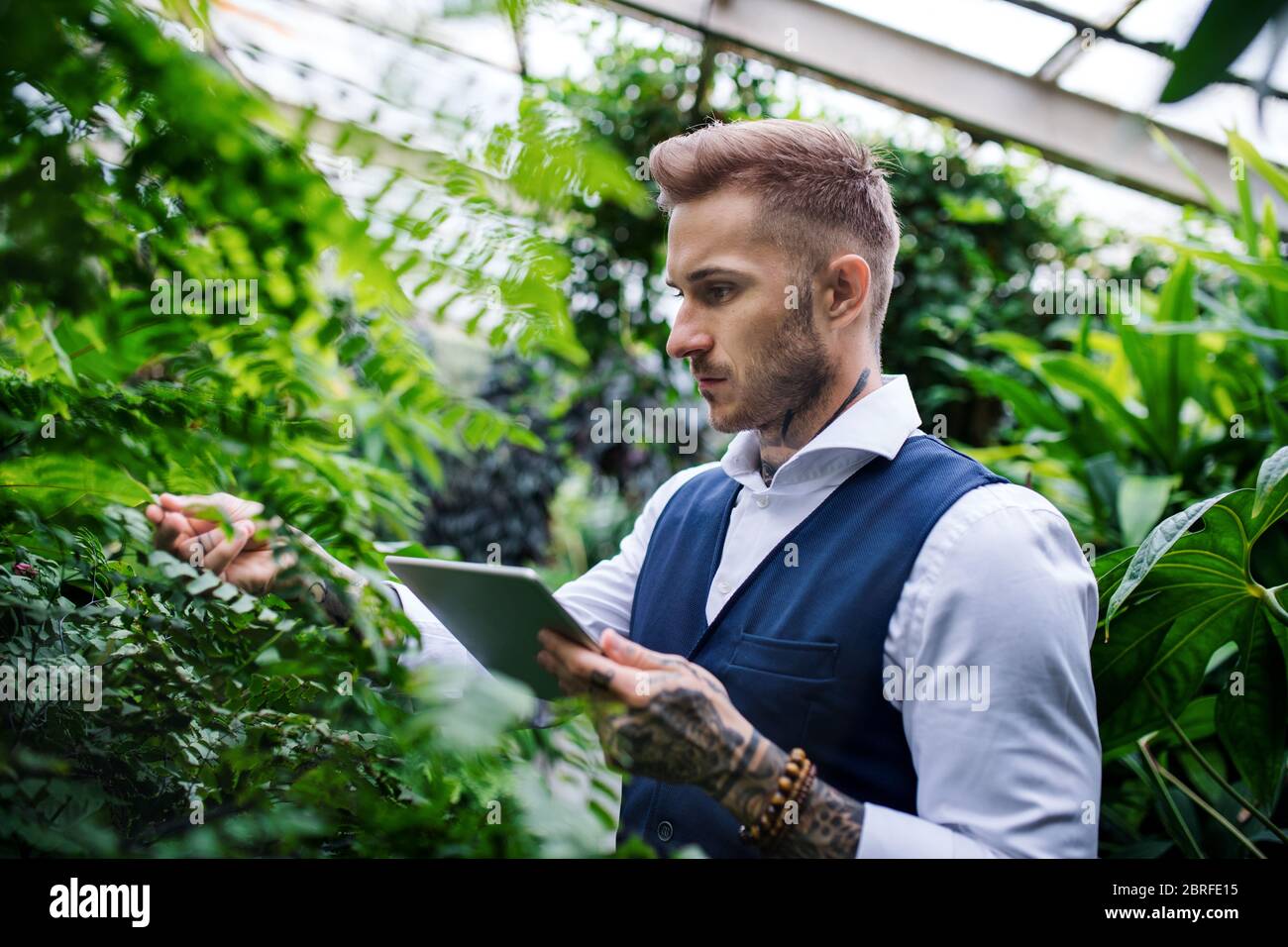 Jeune homme avec une tablette debout dans le jardin botanique, travaillant. Banque D'Images