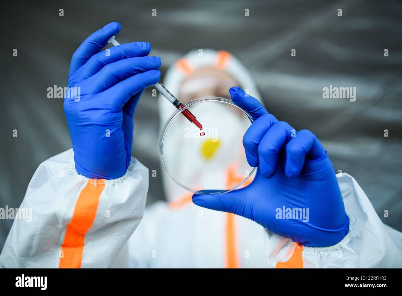 Médecin méconnaissable avec échantillon de sang à l'hôpital, concept de coronavirus. Banque D'Images