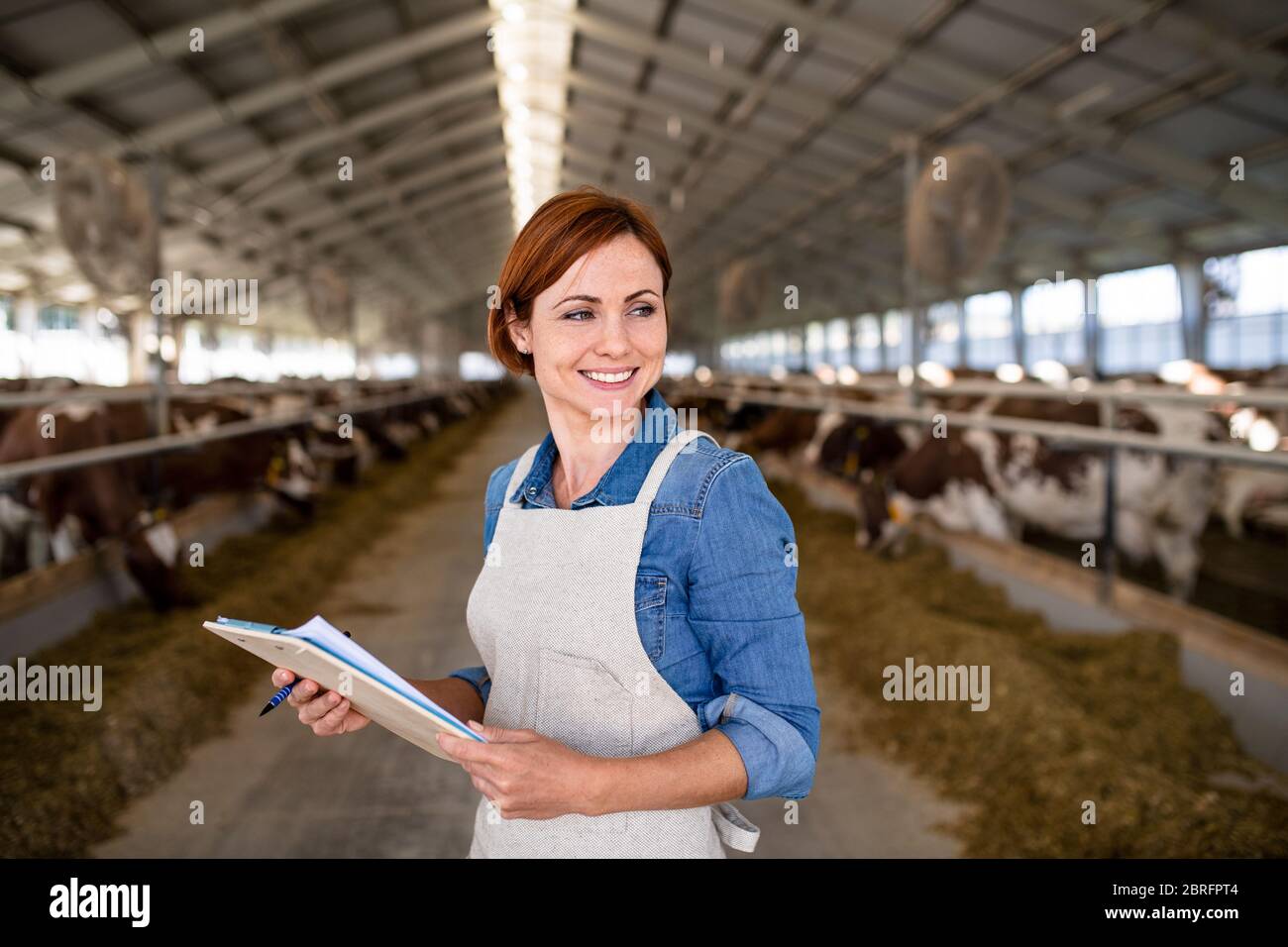 Femme gestionnaire travaillant sur une ferme de journal, l'industrie agricole. Banque D'Images