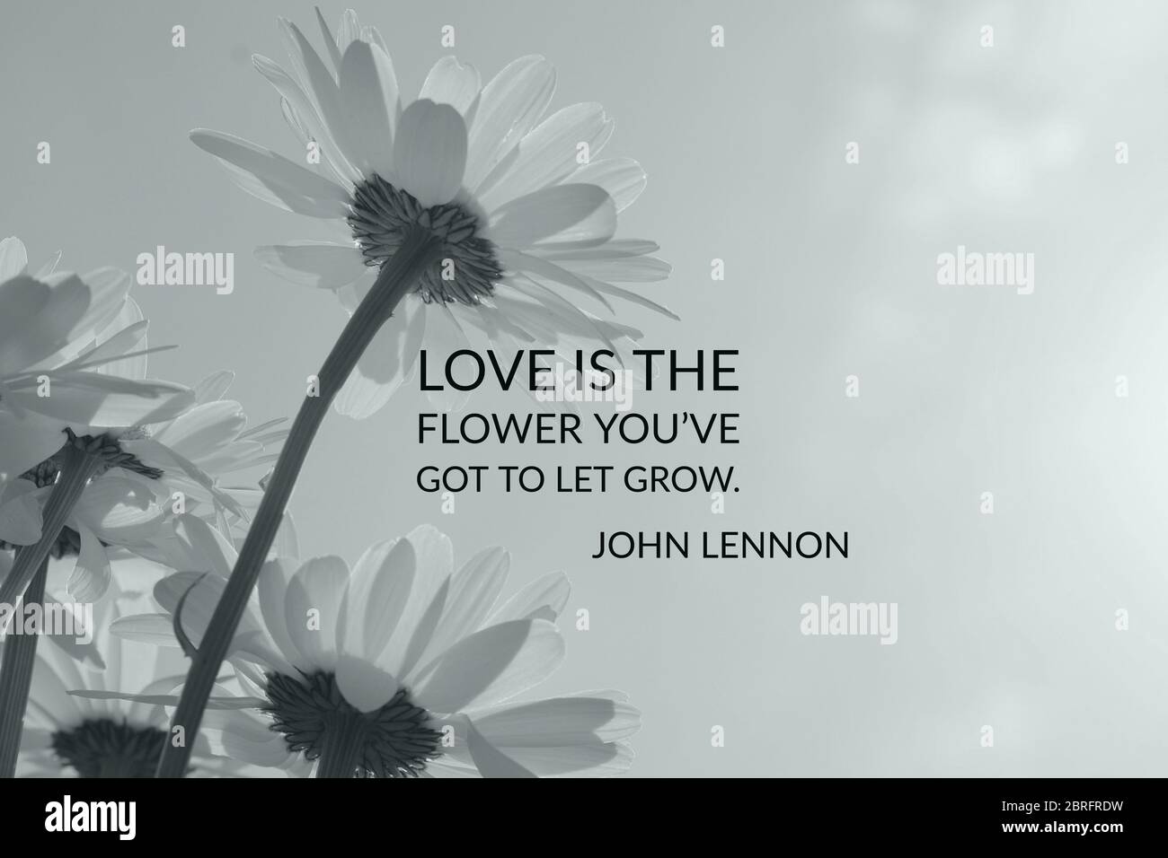 Citations Inspirantes Et Motivationnelles Pour Le Bien Etre Et La Bonne Sante Mentale Superposees Sur Des Images De La Nature Y Compris Des Paquerettes Et Des Tetes De Pissenlit Photo Stock Alamy
