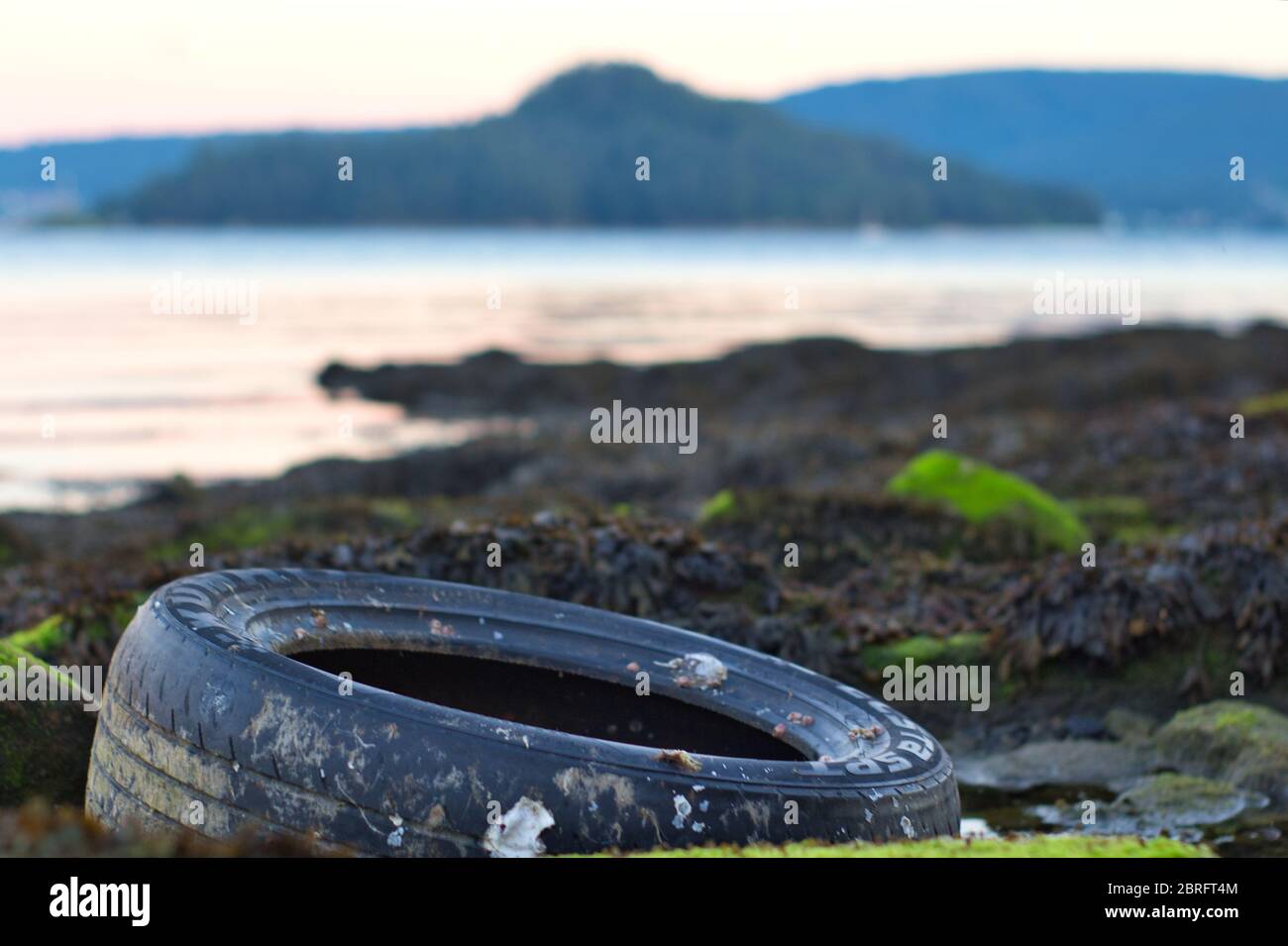 Pneu sur les rochers près de la mer Banque D'Images