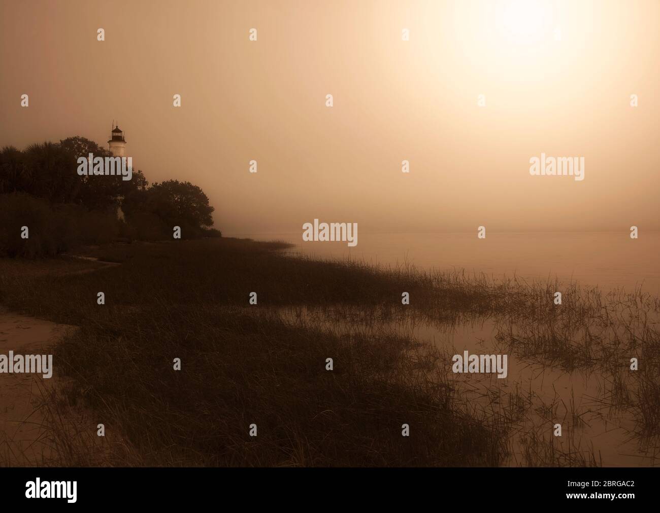 Le phare lors d'une journée de brouillard au parc national de la réserve de la rivière St. Marks, Floride Banque D'Images