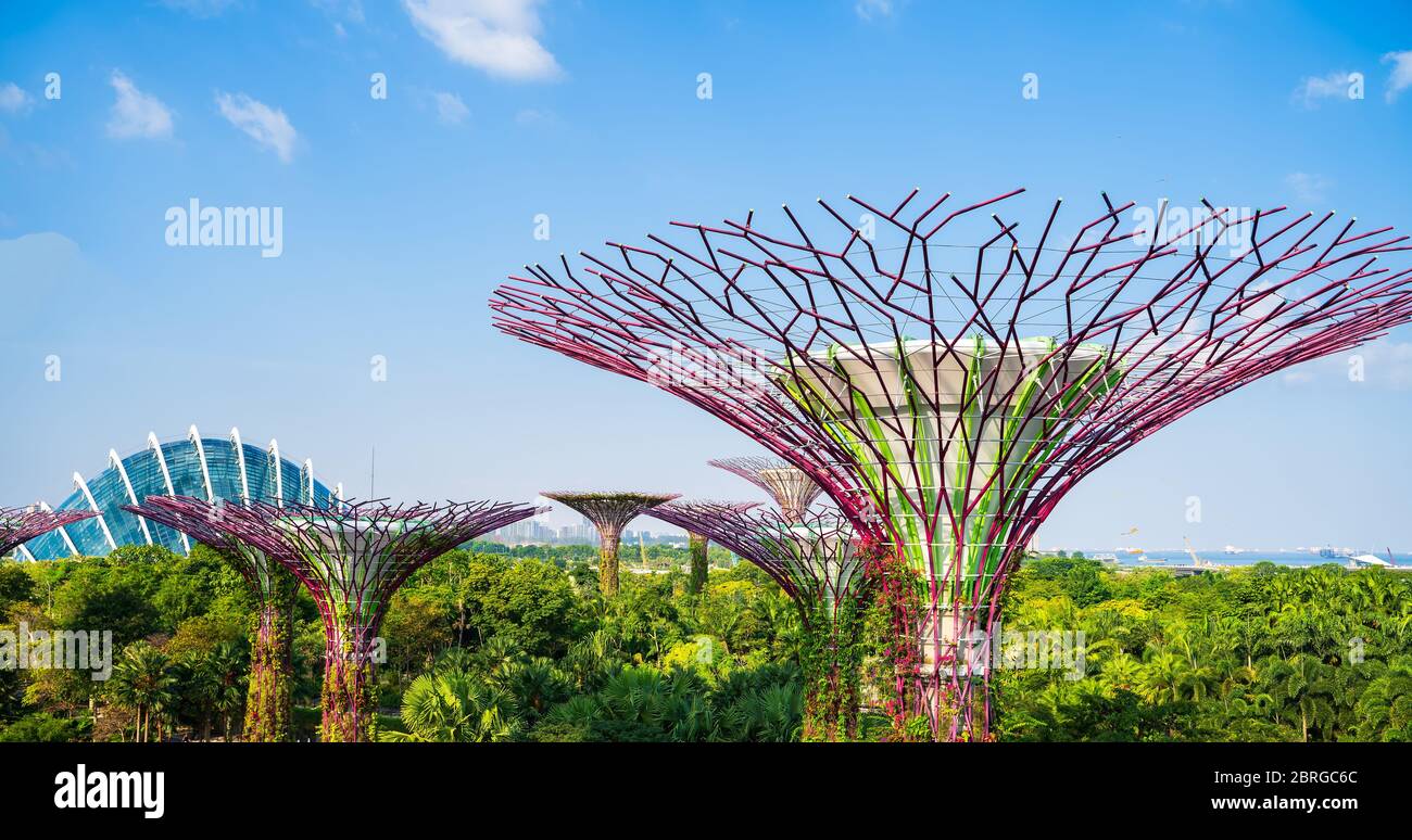 Supertree Grove est un grand jardin botanique dans la baie de la marina et est l'une des attractions les plus importantes pour visiter Singapour et le dôme de fleur avec le bleu sk Banque D'Images