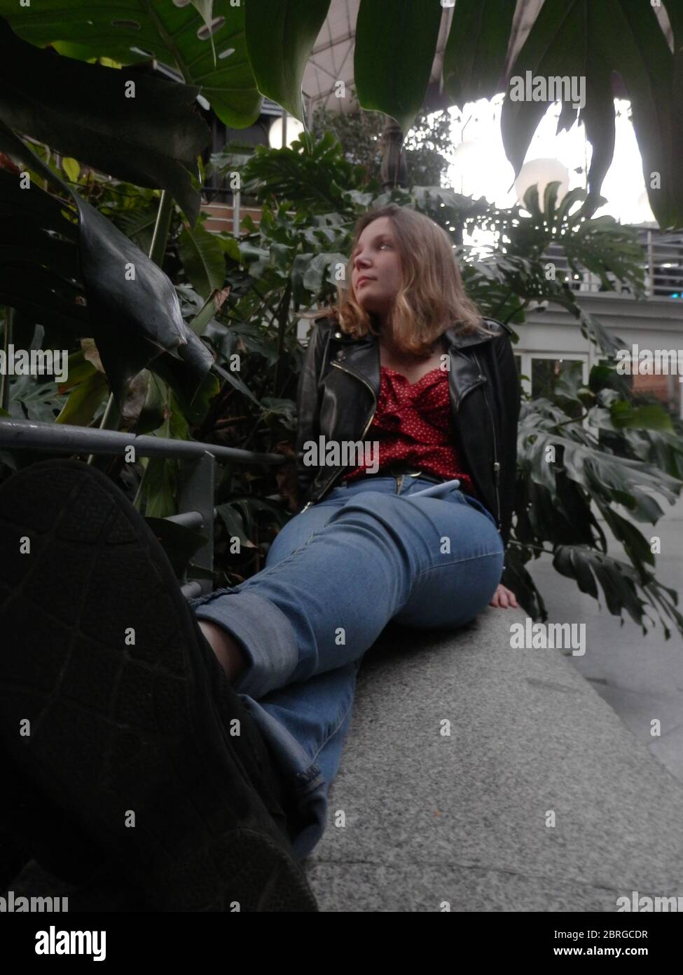 Serre d'Atocha Banque D'Images