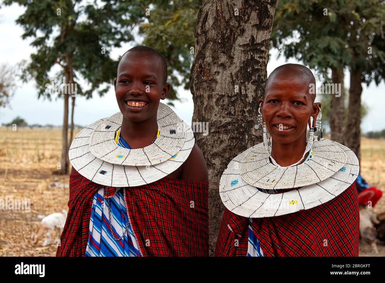 Deux maasai femme; gros plan, portrait, sourire, robe traditionnelle, perlé blanc double col, grandes boucles d'oreilles, trou béant dans l'oreille, Tanzanie; Afrique Banque D'Images