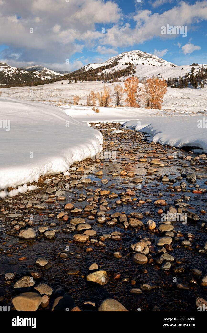 WY04552-00...WYOMING - petite crique dans la région enneigée de Lamar Valley du parc national de Yellowstone Banque D'Images